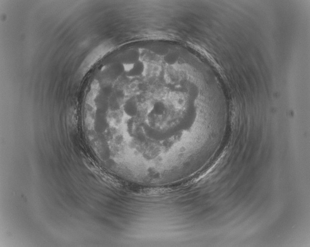 X0000070361163200606301823