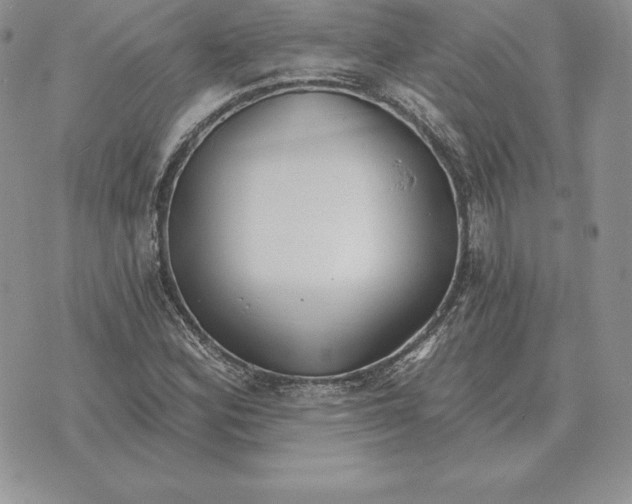 X0000070361164200606301823