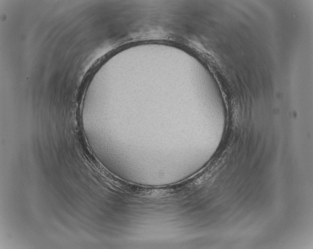 X0000070361166200606301823