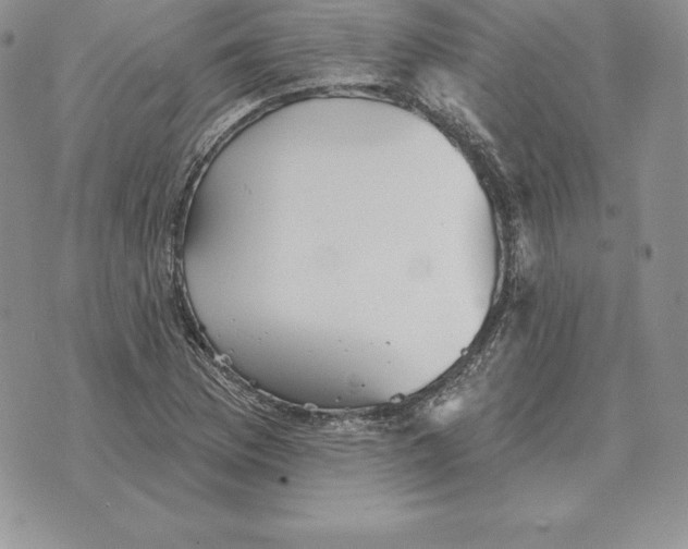 X0000070361169200606301823