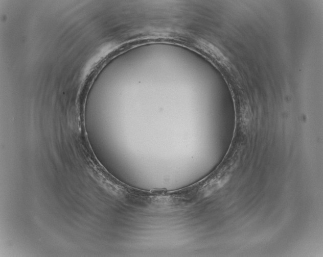 X0000070361172200606301823