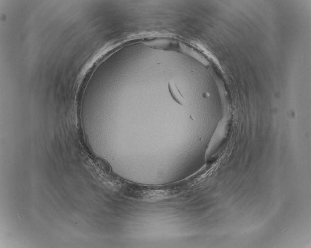 X0000070361173200606301823