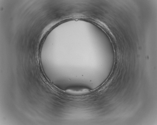 X0000070361176200606301823