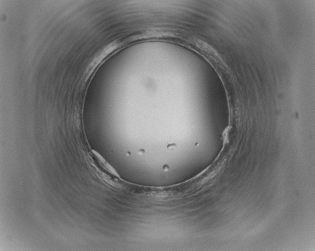 X0000070361177200606301823