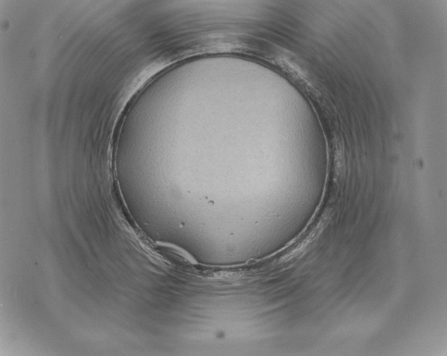 X0000070361178200606301823