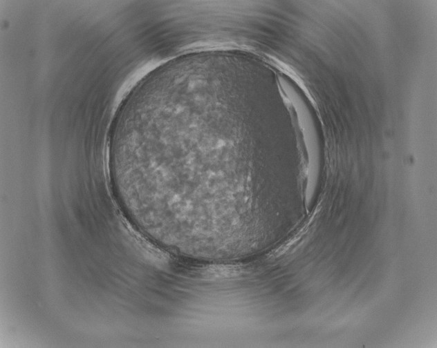 X0000070361179200606301823