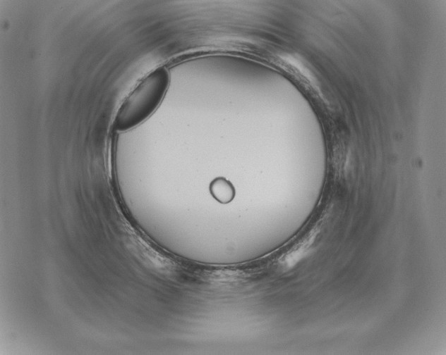 X0000070361180200606301823