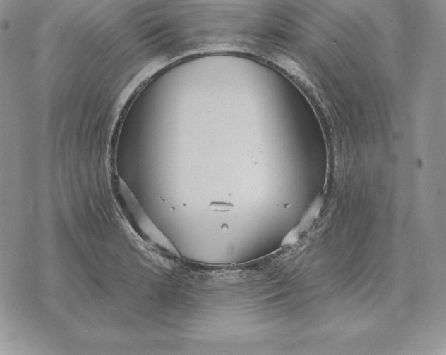 X0000070361181200606301823