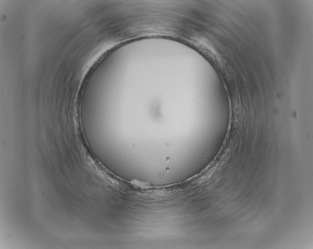 X0000070361182200606301823