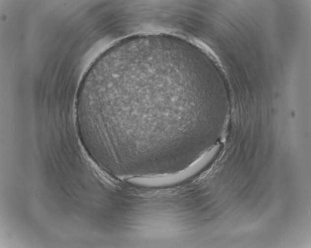 X0000070361183200606301823