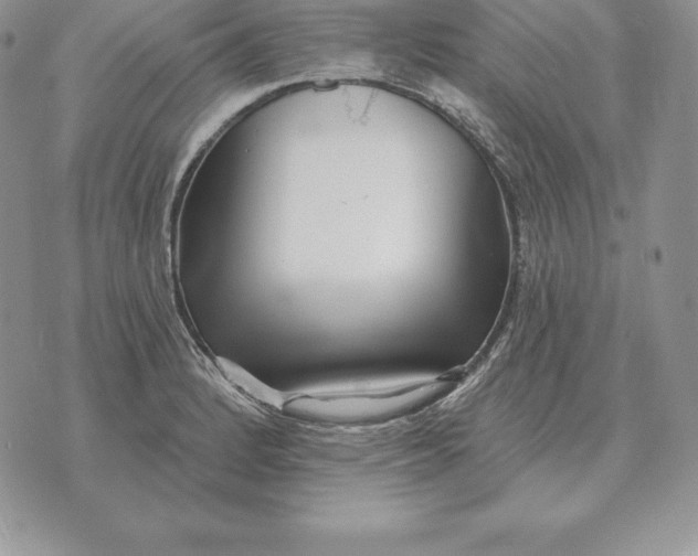 X0000070361184200606301823