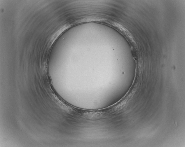 X0000070361185200606301823