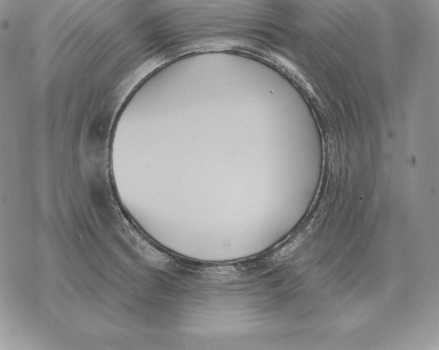 X0000070361186200606301823