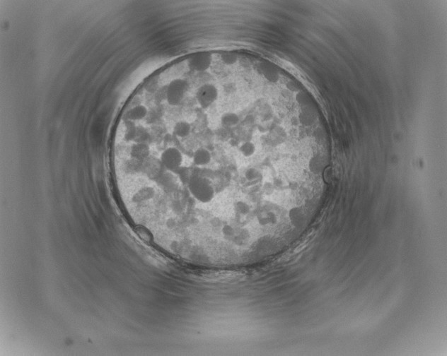 X0000070361187200606301823