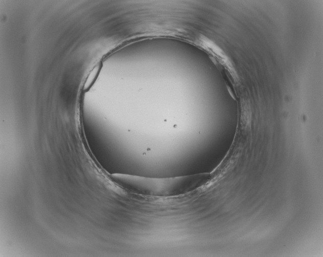 X0000070361188200606301823