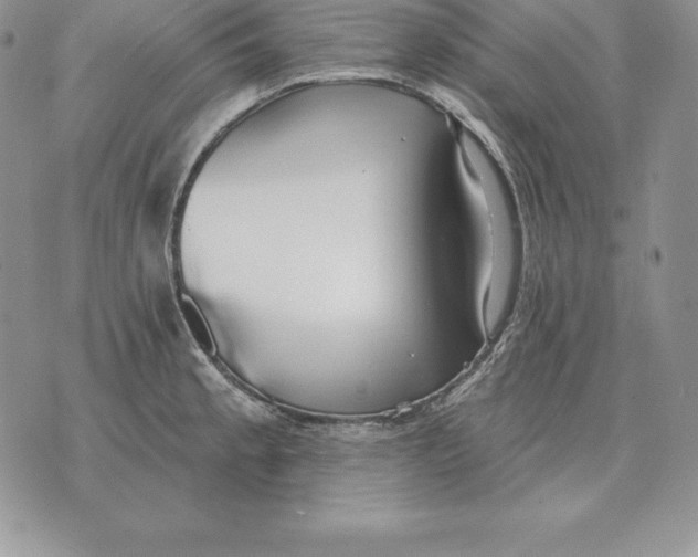 X0000070361189200606301823