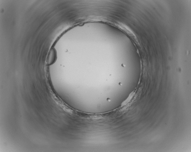 X0000070361190200606301823