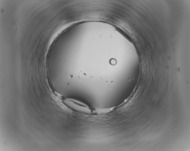 X0000070361192200606301823