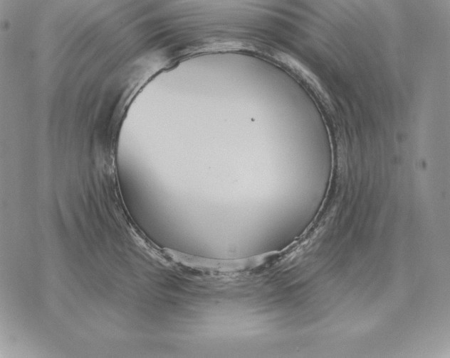 X0000070361193200606301823