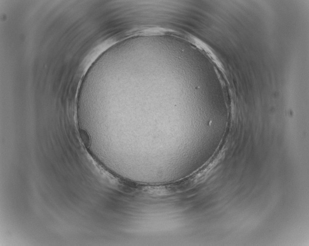 X0000070361194200606301823