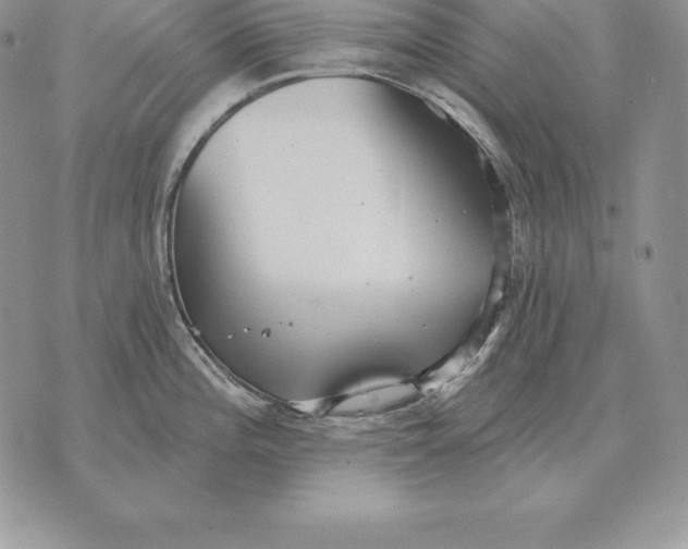 X0000070361196200606301823