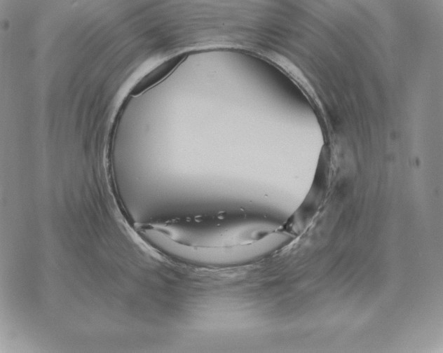 X0000070361197200606301823