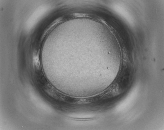 X0000070361198200606301823