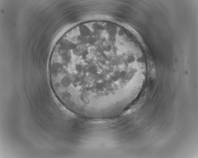 X0000070361199200606301823