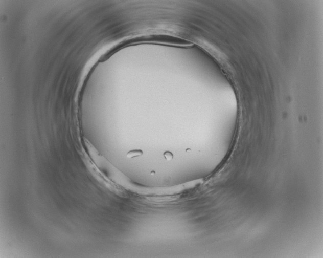 X0000070361200200606301823