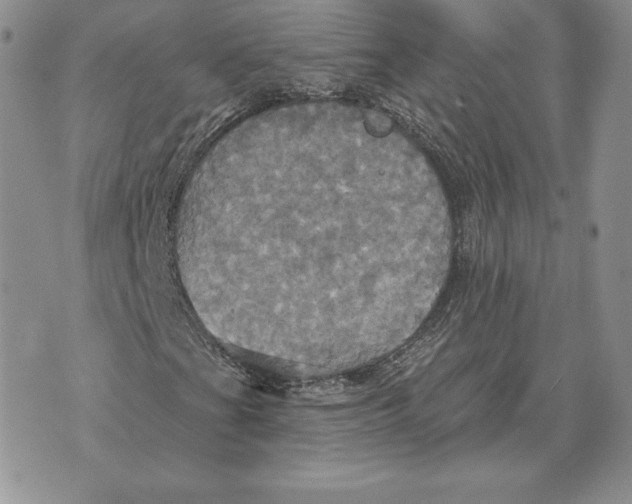 X0000070361201200606301822