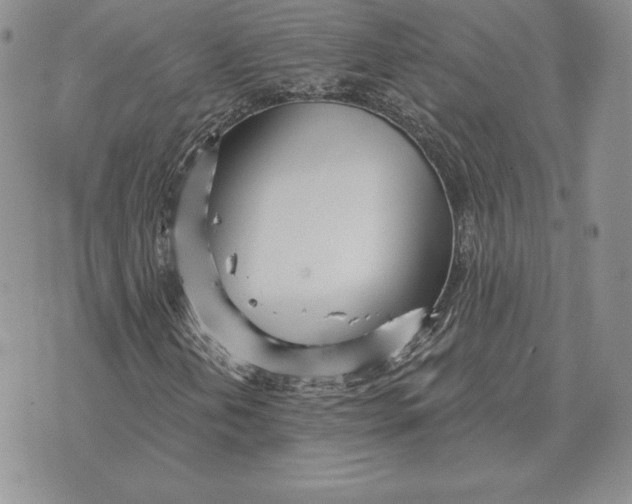 X0000070361202200606301822