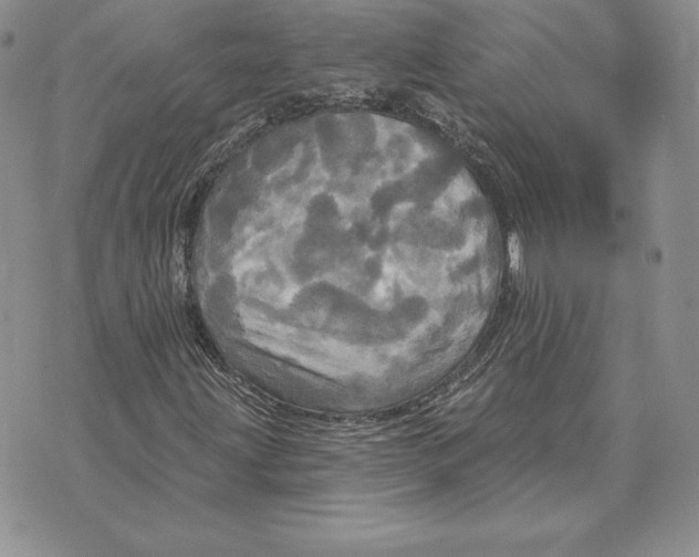 X0000070361203200606301822