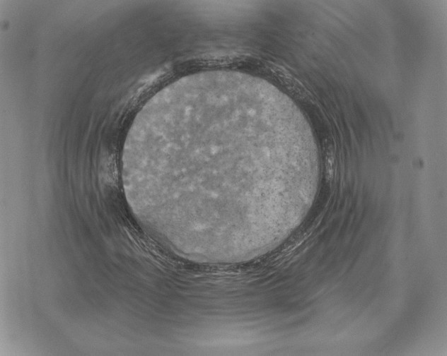 X0000070361204200606301822