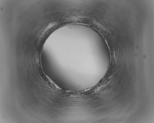 X0000070361206200606301822