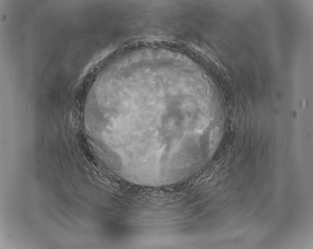 X0000070361207200606301822