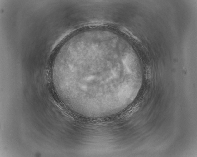 X0000070361208200606301822