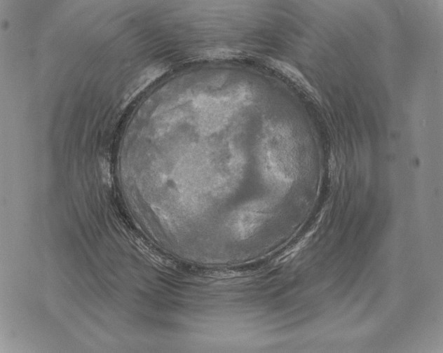 X0000070361209200606301822