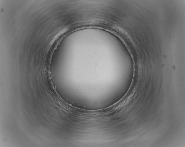 X0000070361210200606301822