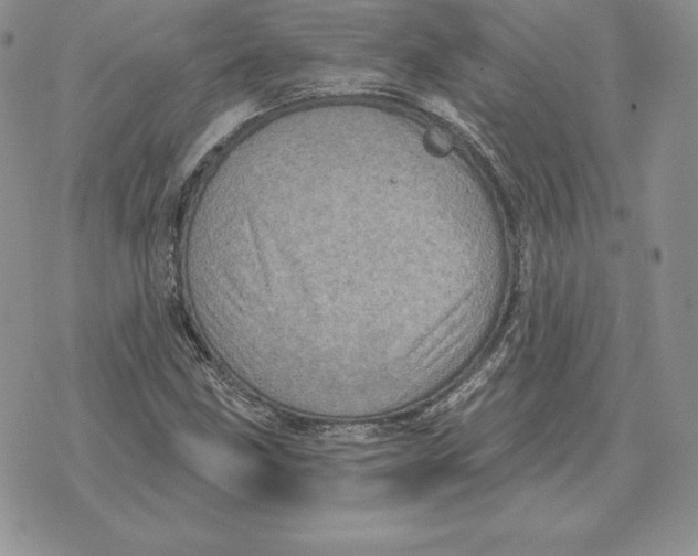 X0000070361211200606301822