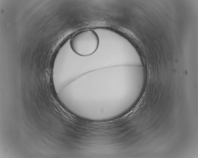 X0000070361212200606301822