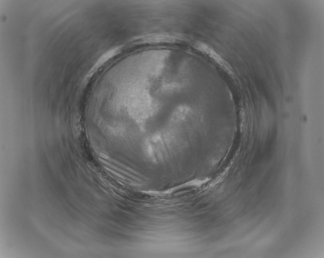 X0000070361213200606301822