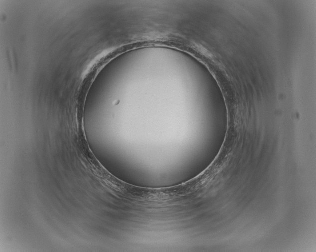 X0000070361214200606301822