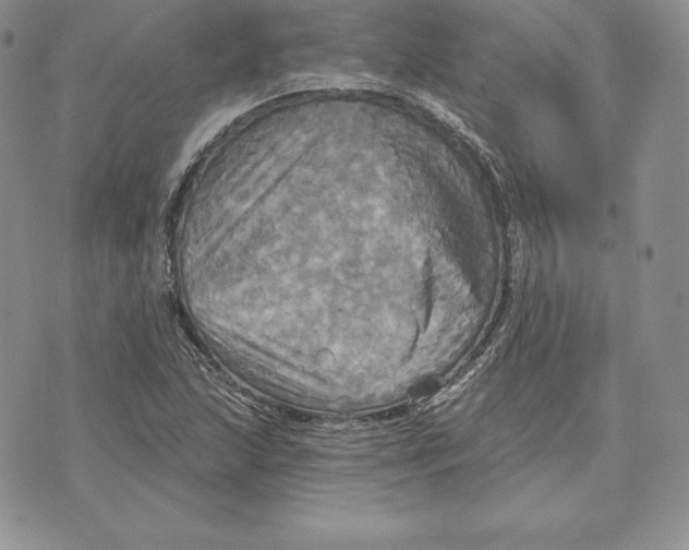 X0000070361215200606301822