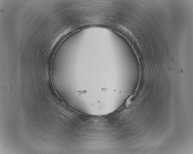 X0000070361218200606301822