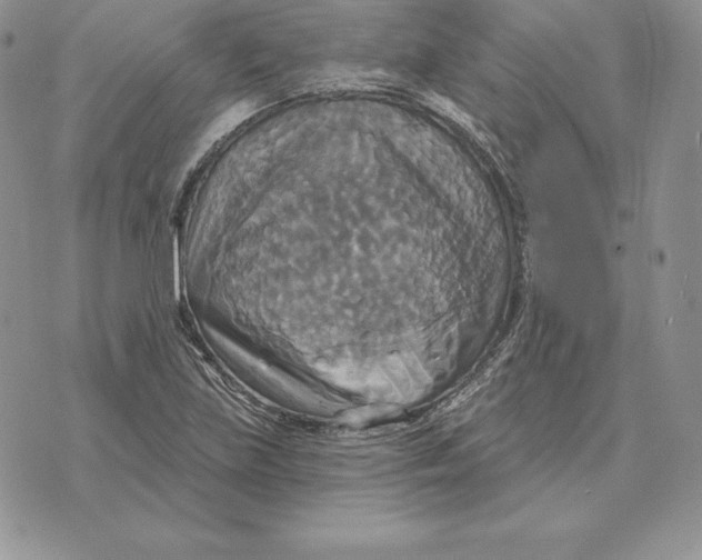 X0000070361219200606301822