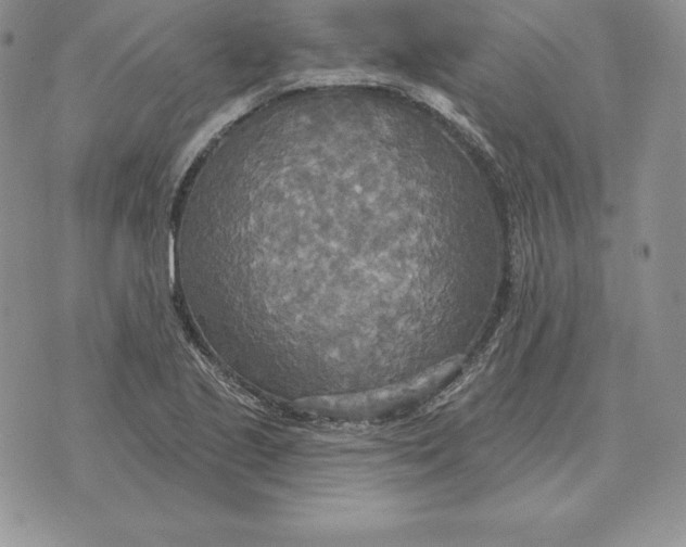 X0000070361221200606301822