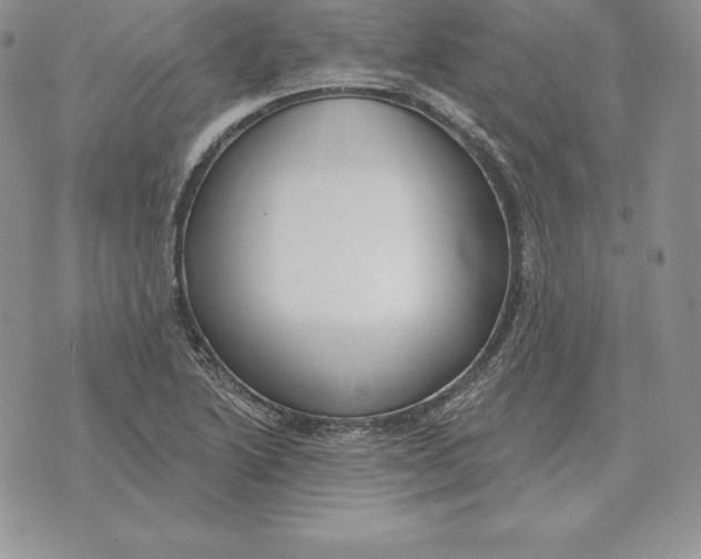 X0000070361222200606301822