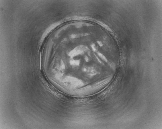 X0000070361223200606301822