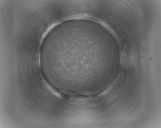 X0000070361224200606301822