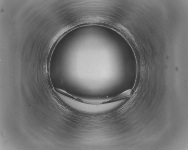 X0000070361226200606301822